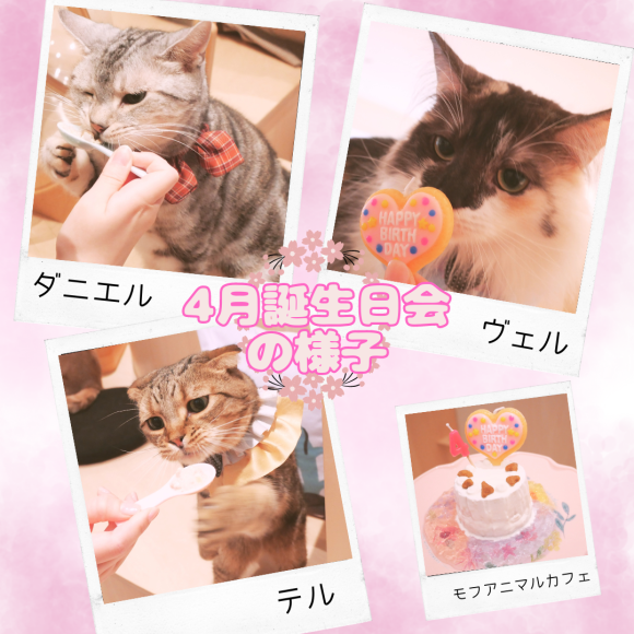 お誕生日おめでとう