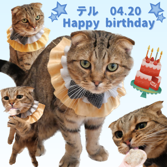 ☆Happy birthday Teru ☆