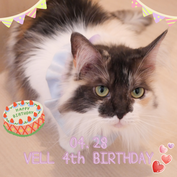 Happy birthday Vell~♪