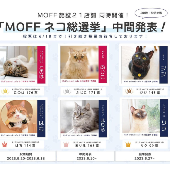 中間順位発表！