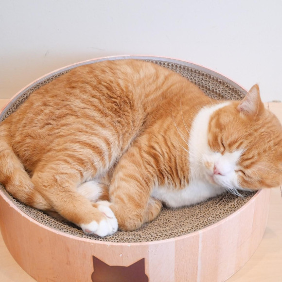 へんてこ寝相