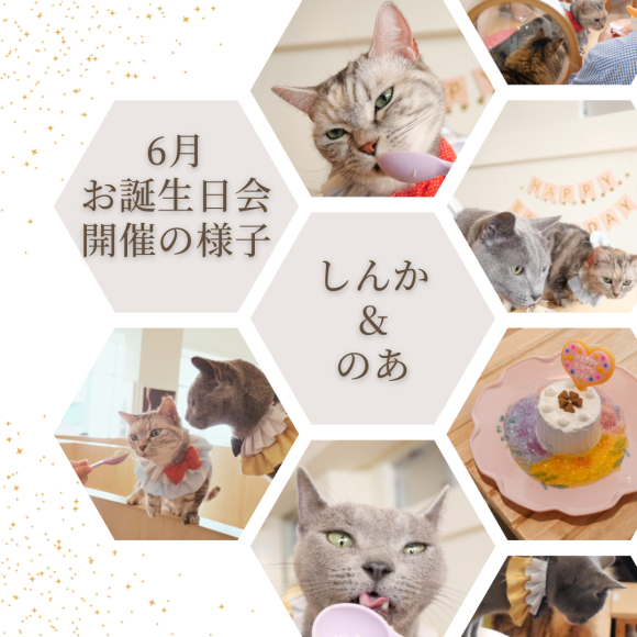 6月お誕生日会の様子