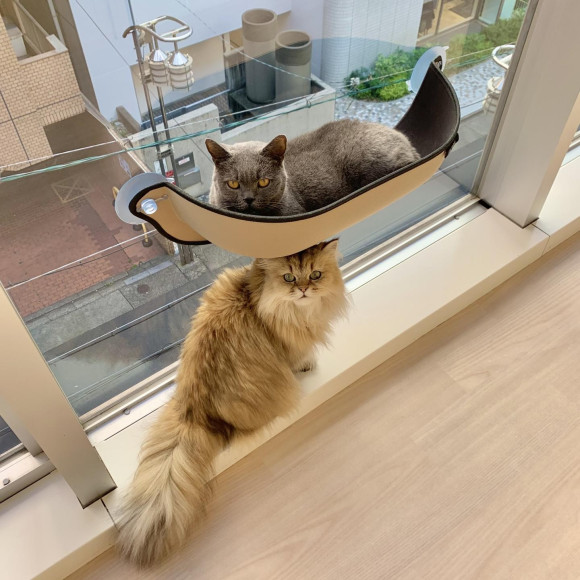 ふじこ&ちゅら