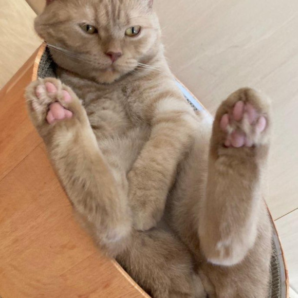 ショップニュース │ 名古屋PARCO-パルコ-