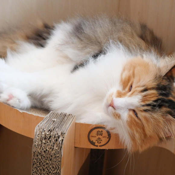 お昼寝しているゆいちゃん