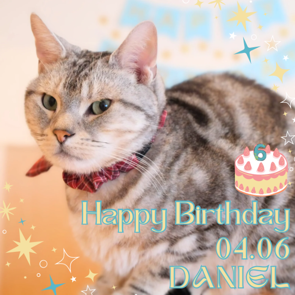 ＼＼＼Happy Birthday DANIEL／／／
