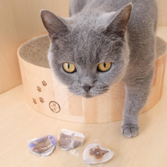 新しいスペシャル缶バッジのお知らせ