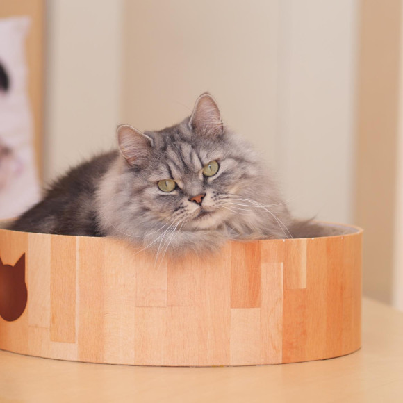 ふわふわ短足な マリルくん