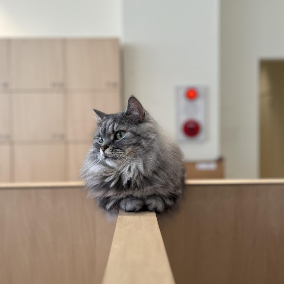 揃えた足がかわいいまりるくん