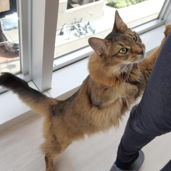 るんるんなロイくん♪