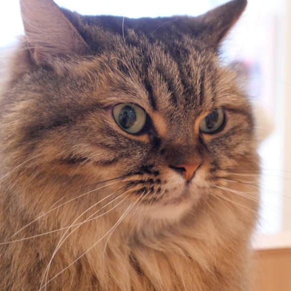 リラックスしているみらいちゃん