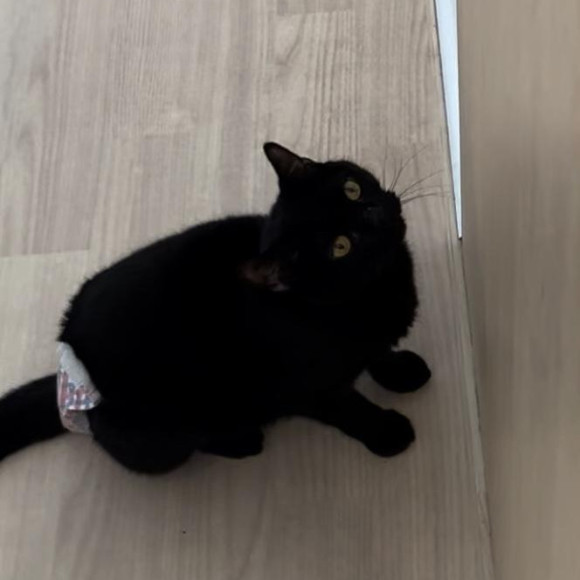 ジジくんの目線の先には…