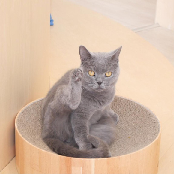 ちゅらちゃんおもしろポーズ特集