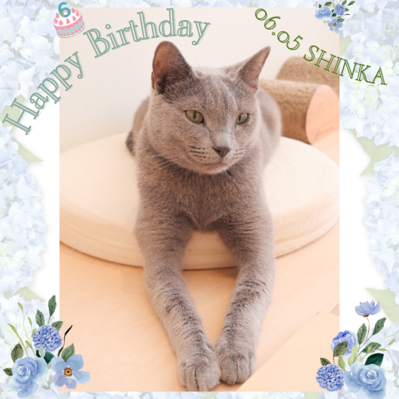 ♪HAPPY BIRTHDAY しんか♪