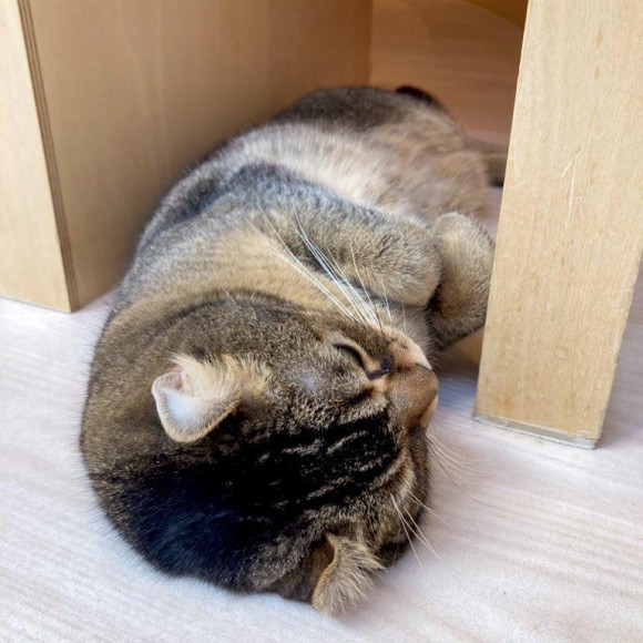 自由人、なちくん