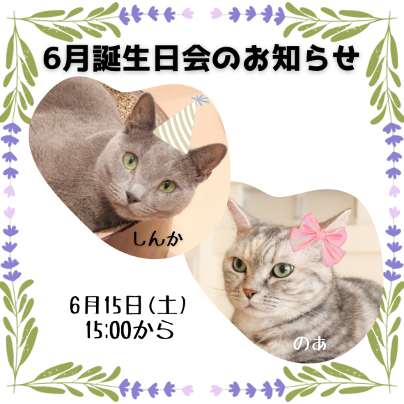 ☆6月お誕生日会のお知らせ☆