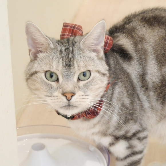 あざと可愛いダニエルくん