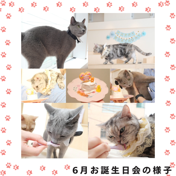 6月お誕生日会の様子☆