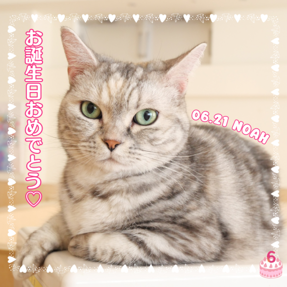 ☆のあちゃんお誕生日おめでとう☆