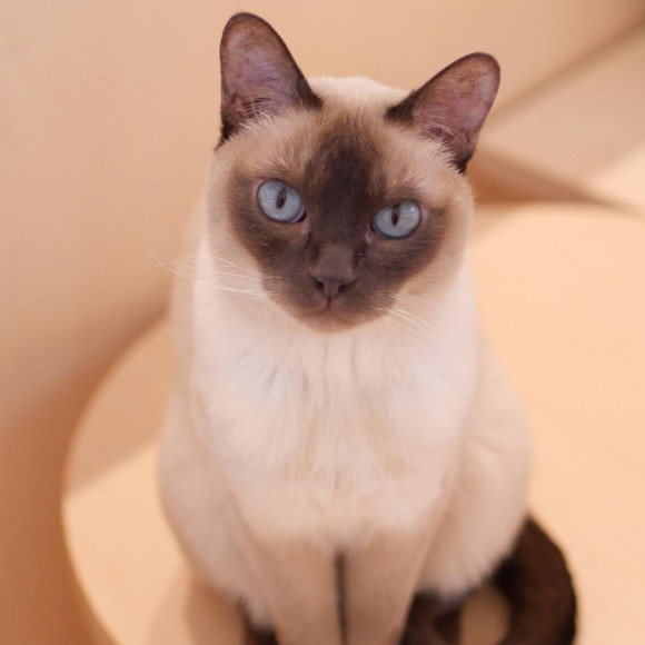 綺麗なお目目のリクくん