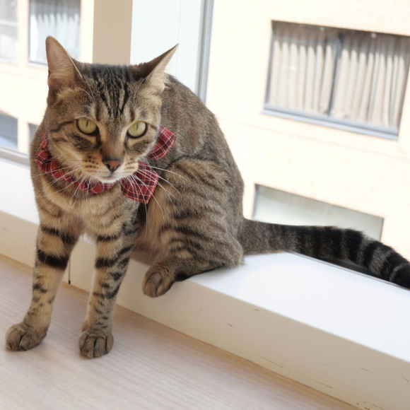 スキマ大好きリリィちゃん♡