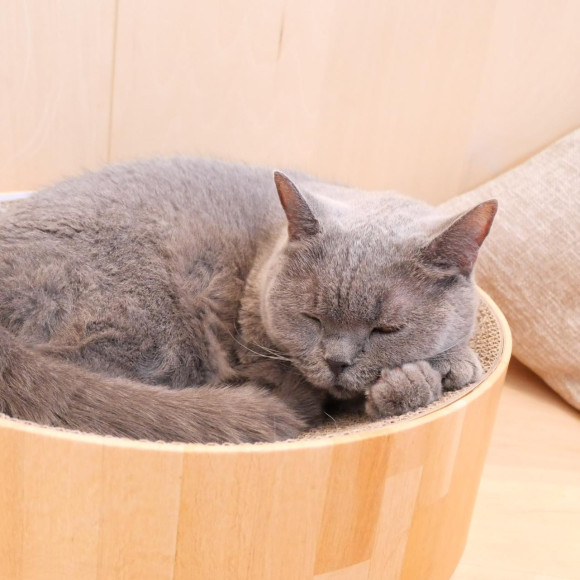 お昼寝ちゅらちゃん