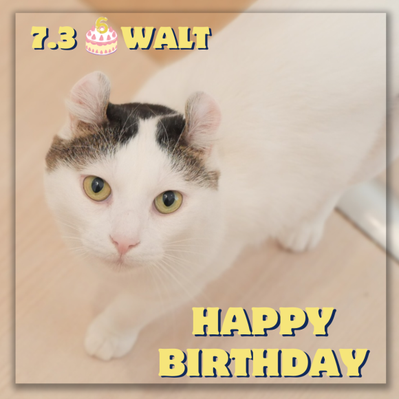 ☆ Happy Birthday  WALT ☆