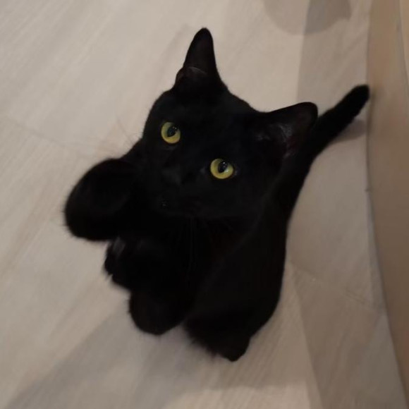 つぶらな瞳のジジくん