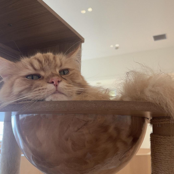 ギリギリなマークくん