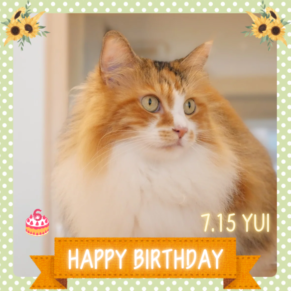 Happy Birthday ゆいちゃん♡