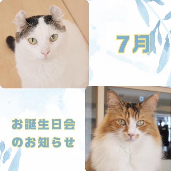 ☆7月お誕生日会のお知らせ☆