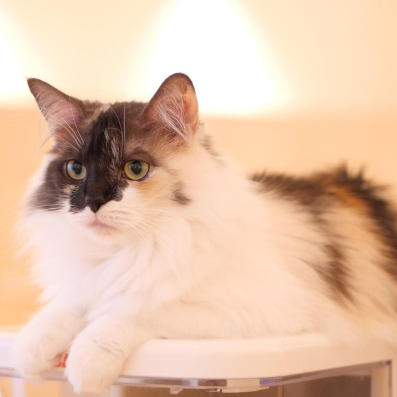 おやつ待機中〜♬