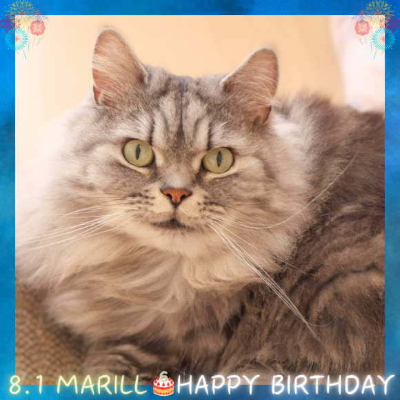 6歳になったまりるくん