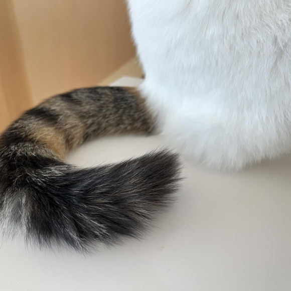 こちらのしっぽの持ち主は誰でしょうか？