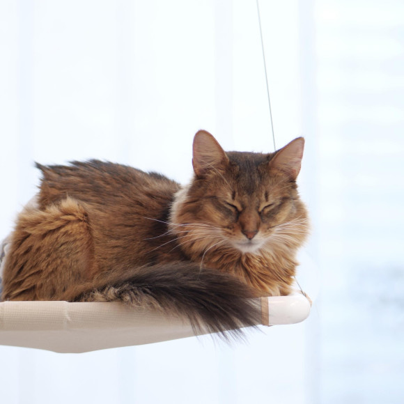 スヤスヤ寝顔〜