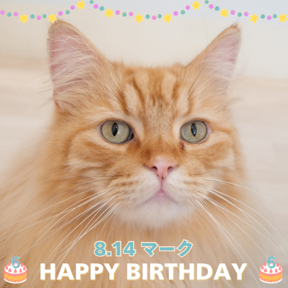 ☆マークくんお誕生日おめでとう☆