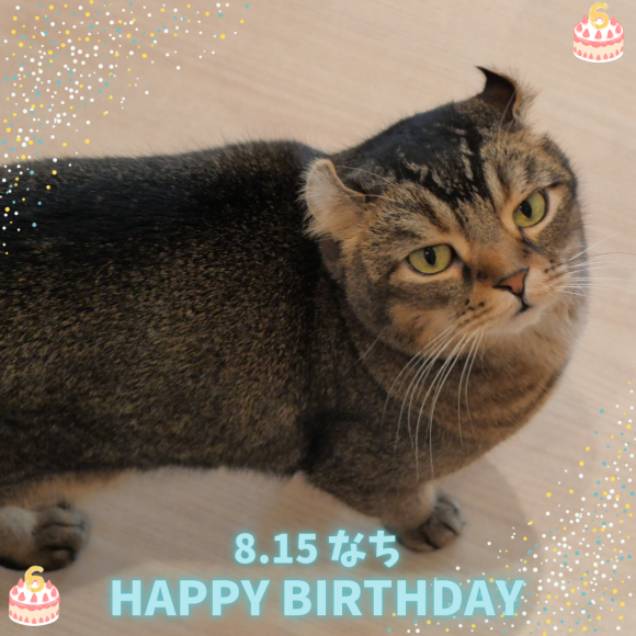 ☆なちくんお誕生日おめでとう☆