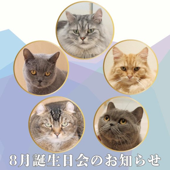 8月のお誕生日会 開催！