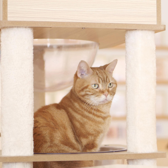 姿勢の良いらんくくん