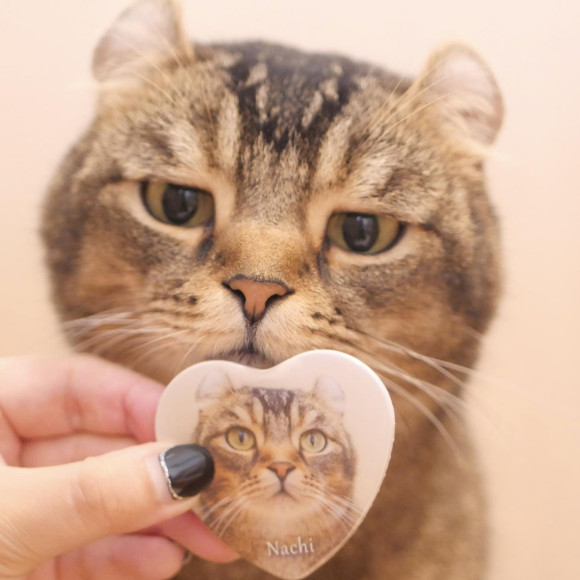 新しい缶バッジ