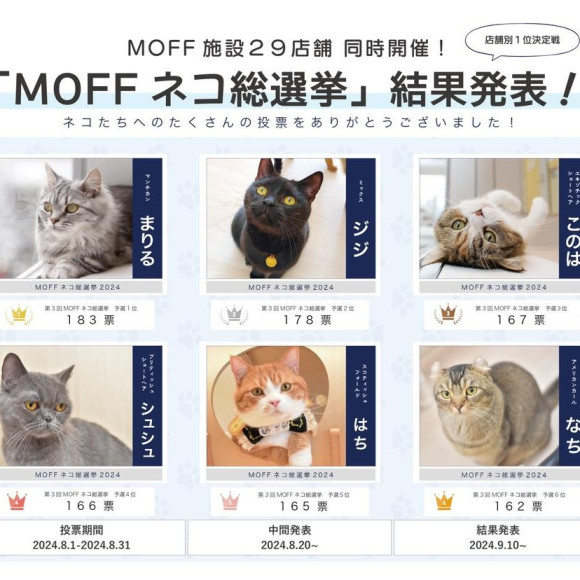 Moffネコ総選挙(予選)結果発表