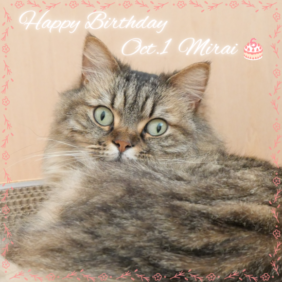 みらいちゃんがお誕生日を迎えました⭐︎