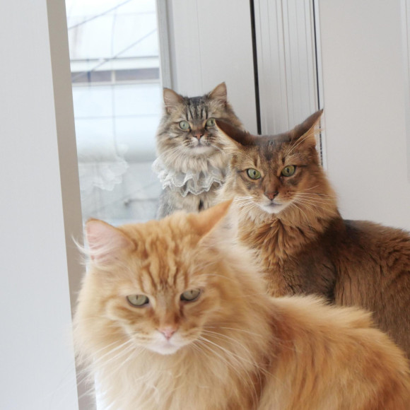 奇跡の3ショット☆