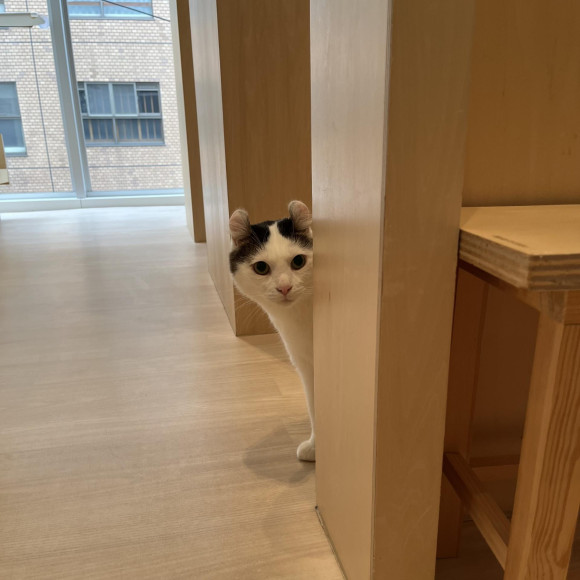 ひょっこりウォルトくん