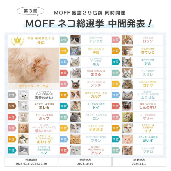 第３回「MOFF ネコ総選挙（本選）」中間発表