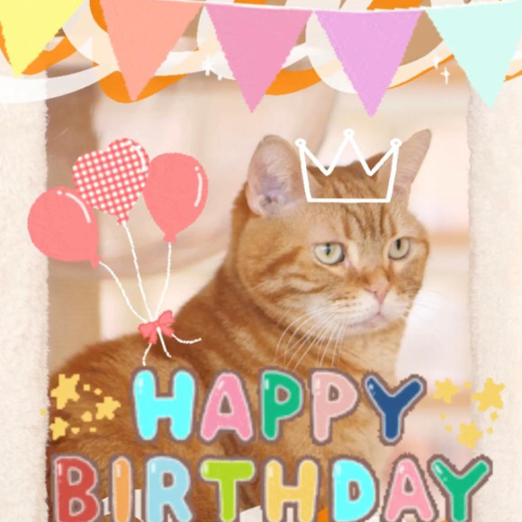 らんく！6歳のお誕生日o(^-^)o