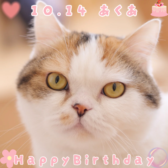 あくあちゃんお誕生日おめでとう☆☆