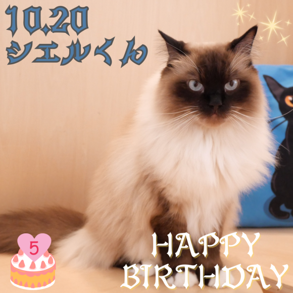 5歳になったシエルくん