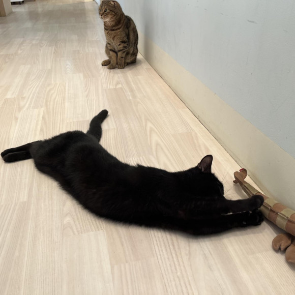 エビさんLOVEなジジくん❤︎