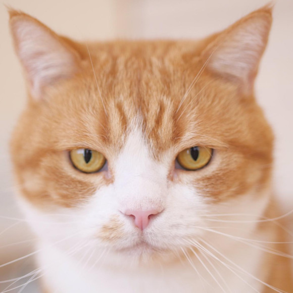 僕ちんの魅力日記